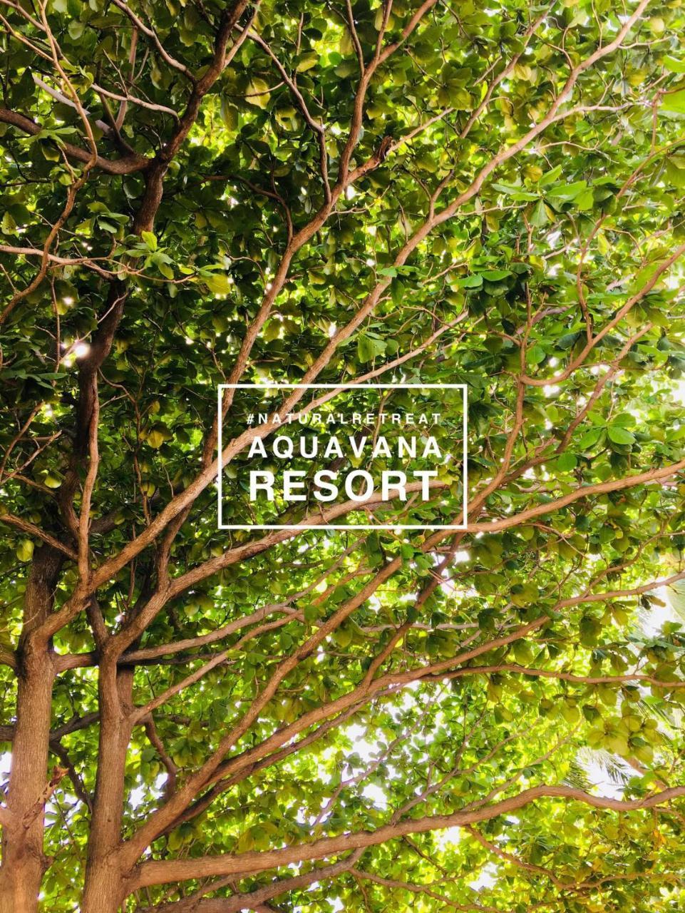 Aquavana Haad Rin Resort Exteriör bild
